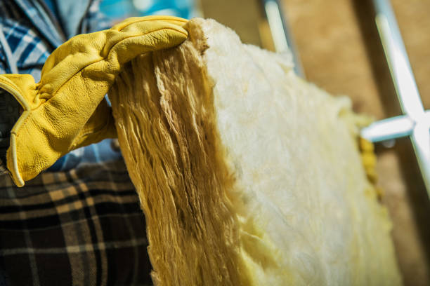 Best Insulation Contractor Near Me  in Edgewood, WA