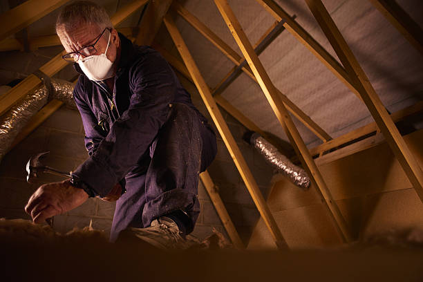 Best Home Insulation Services  in Edgewood, WA